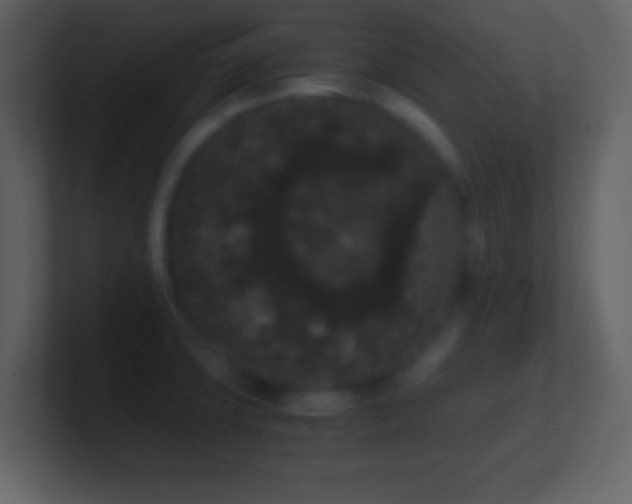 X0000101391427200807071148