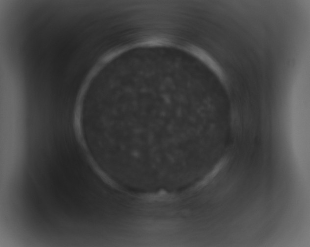 X0000101391429200807071148
