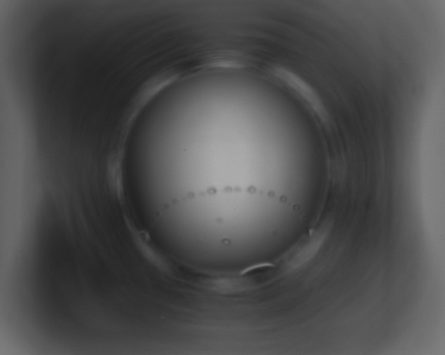 X0000101391433200807071148
