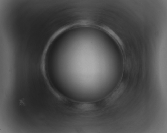X0000101391437200807071148