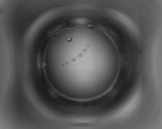 X0000101391438200807071148