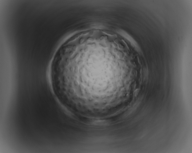 X0000101391439200807071148