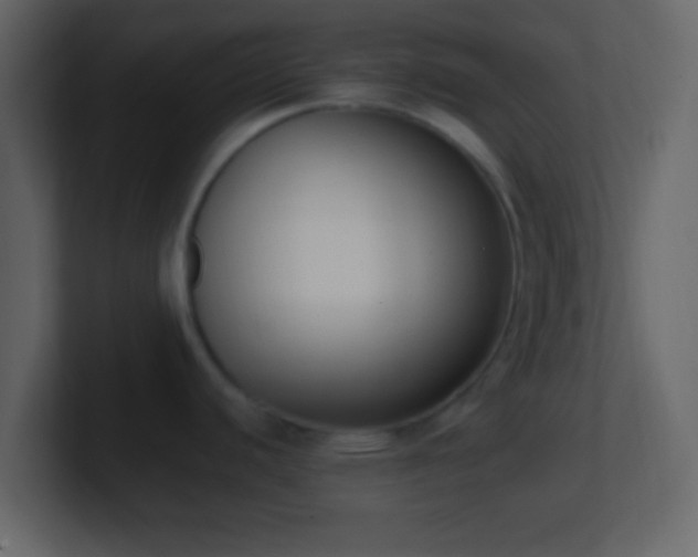 X0000101391440200807071148