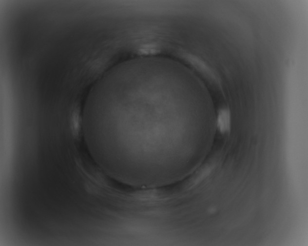 X0000101391444200807071147