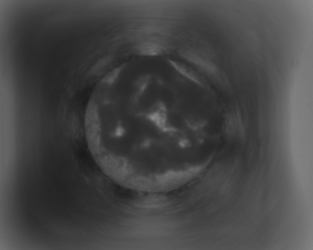 X0000101391446200807071147