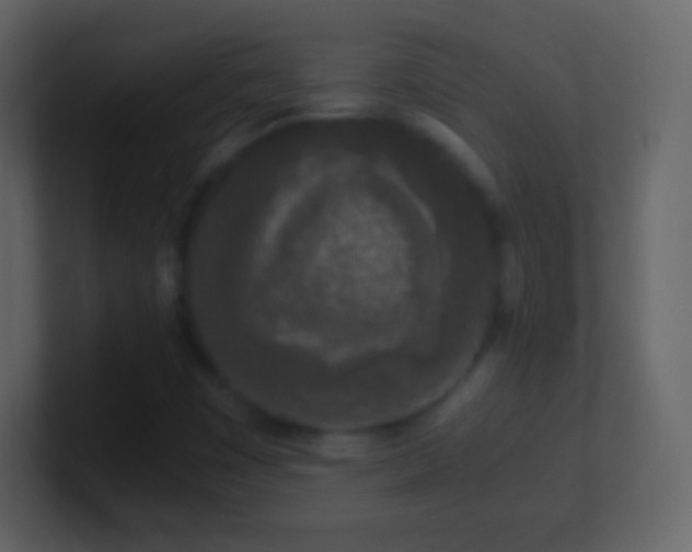 X0000101391449200807071147