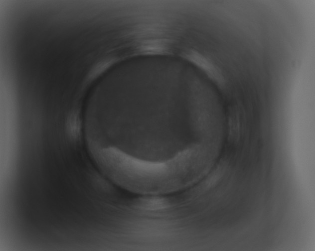 X0000101391450200807071147