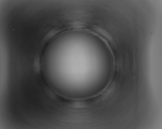 X0000101391451200807071147