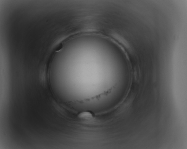 X0000101391452200807071147