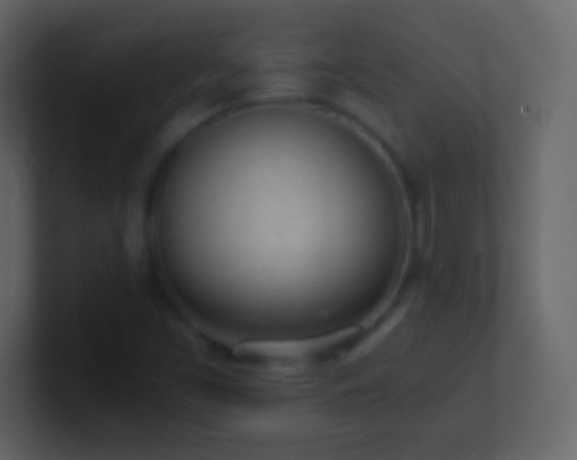 X0000101391453200807071147