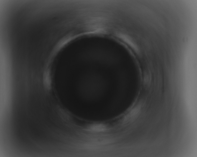 X0000101391455200807071147