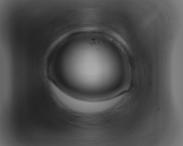 X0000101391456200807071147