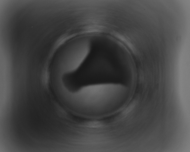 X0000101391459200807071147