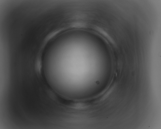 X0000101391461200807071147