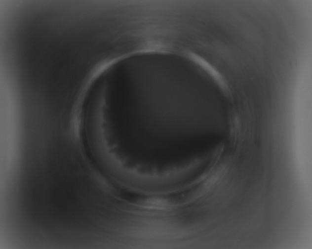 X0000101391463200807071147