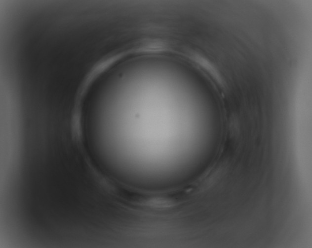 X0000101391464200807071147