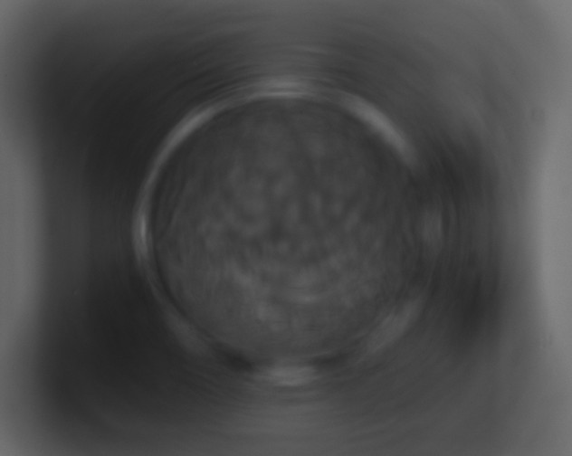X0000101391466200807071147