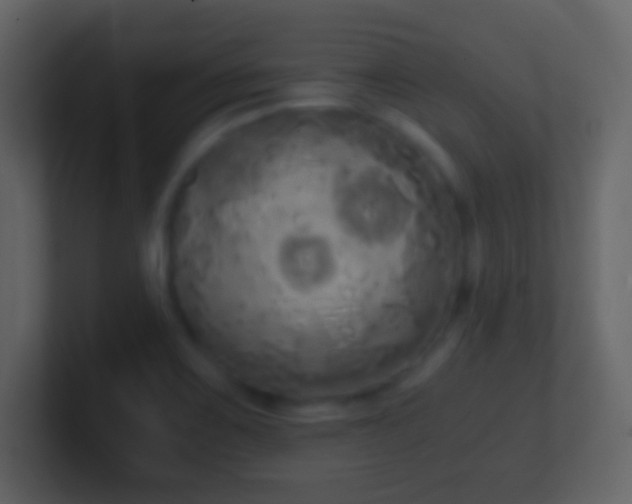 X0000101391467200807071147