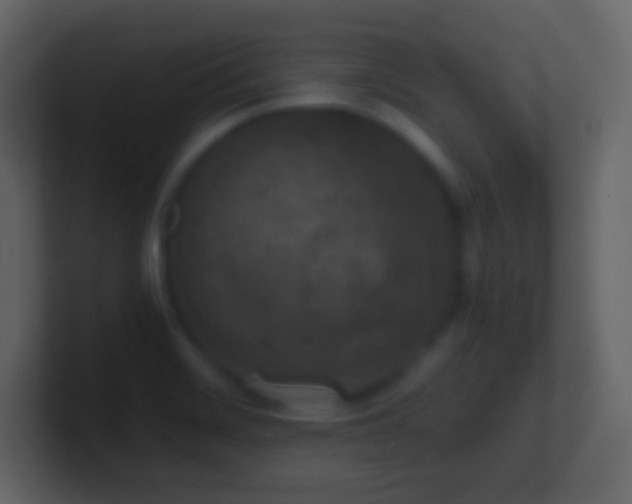 X0000101391468200807071147