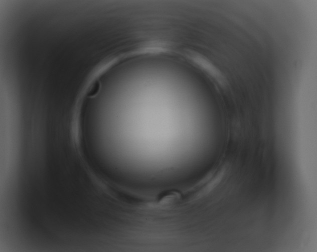 X0000101391469200807071147