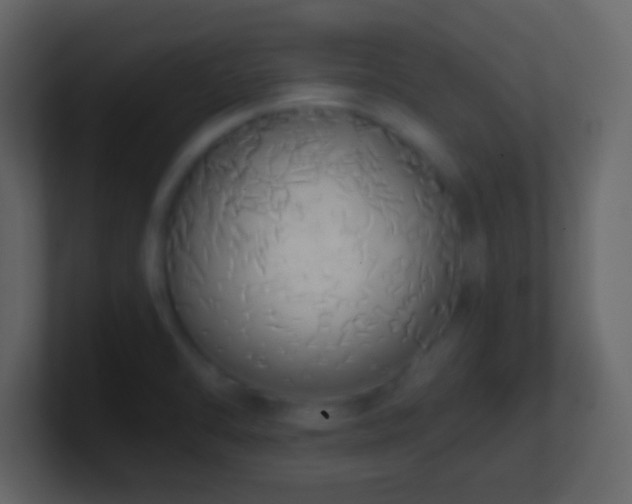 X0000101391470200807071147
