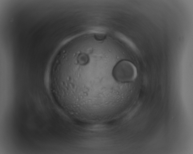 X0000101391471200807071147