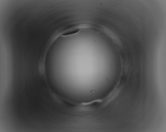 X0000101391473200807071147