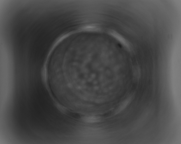 X0000101391474200807071147