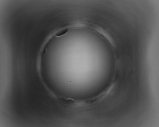 X0000101391477200807071147