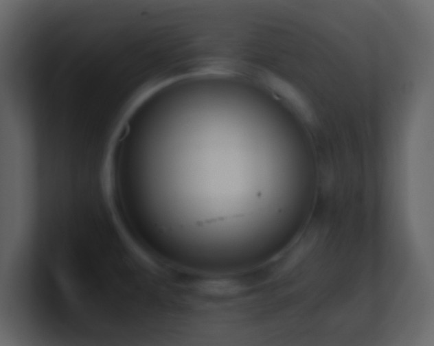 X0000101391479200807071147