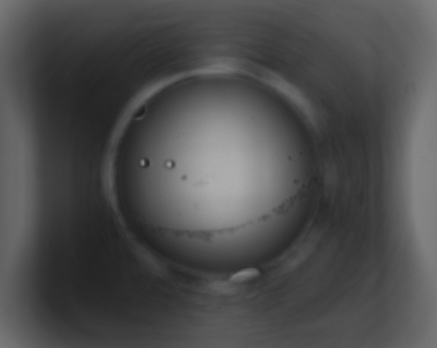 X0000101391480200807071147