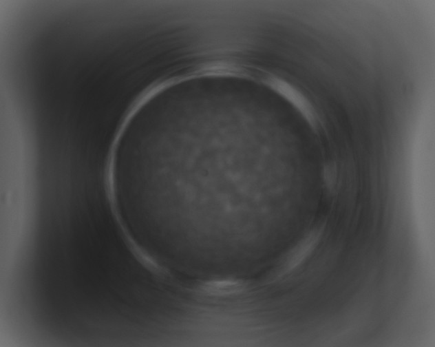 X0000101391482200807071147