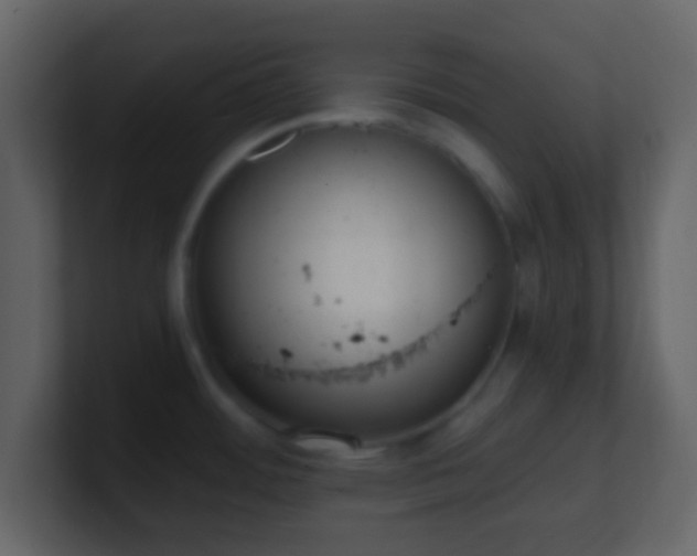 X0000101391484200807071147