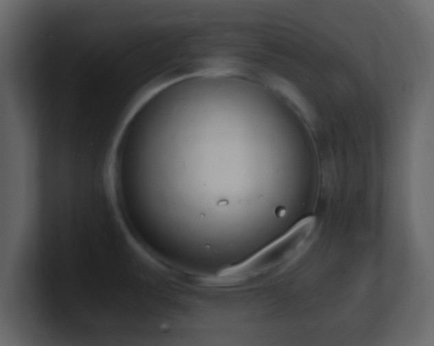 X0000101391487200807071147