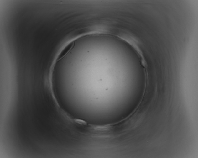 X0000101391488200807071147