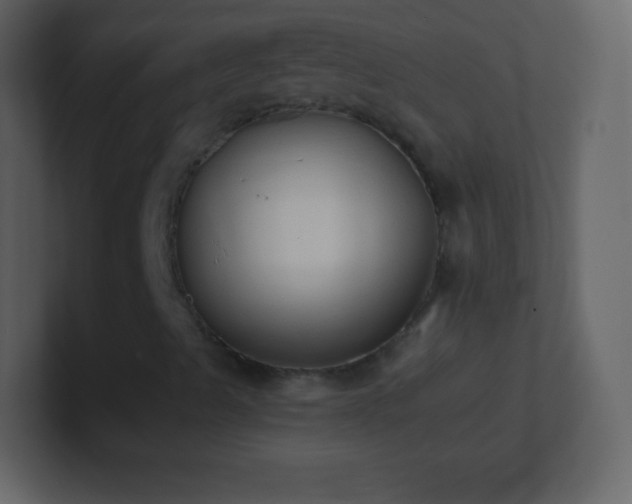 X0000101391489200807071146