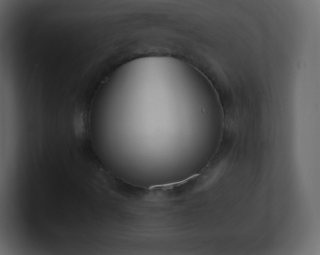 X0000101391490200807071146