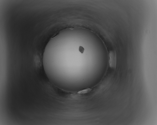 X0000101391491200807071146