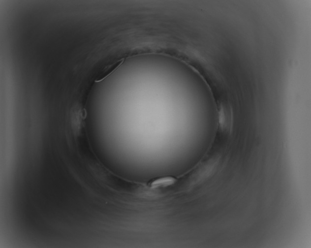 X0000101391492200807071146