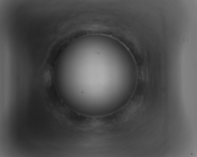 X0000101391493200807071146
