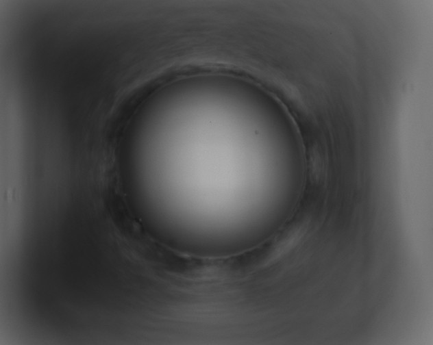 X0000101391494200807071146