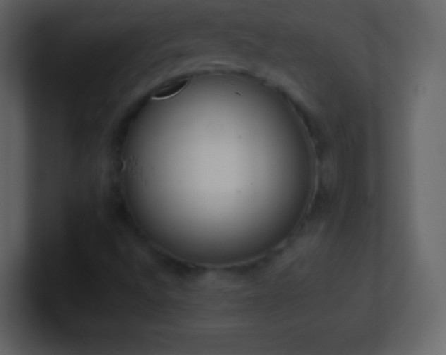 X0000101391496200807071146