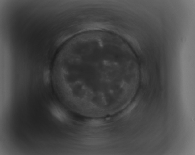 X0000101391497200807071146