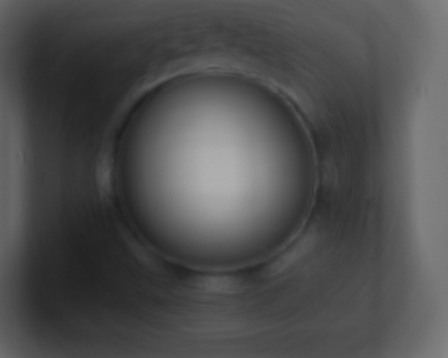X0000101391499200807071146