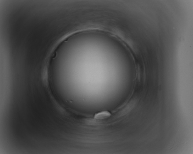 X0000101391500200807071146