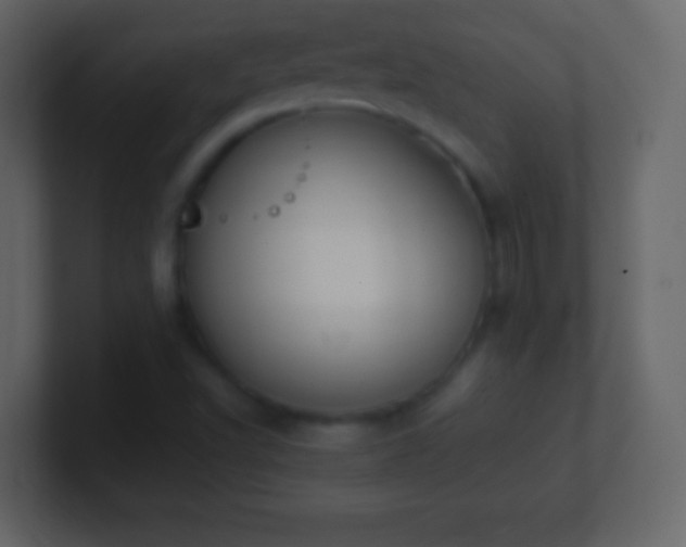 X0000101391502200807071146