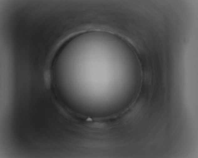 X0000101391503200807071146