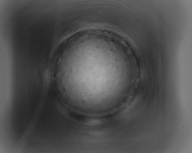 X0000101391505200807071146