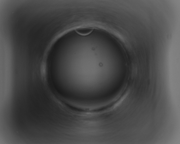 X0000101391506200807071146