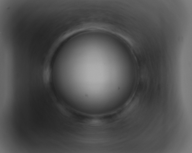 X0000101391507200807071146